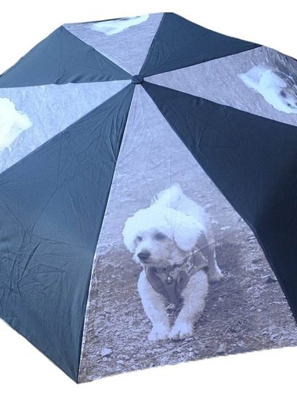 Umbrela Pliabila Unisex, Paolo, Spite Carbon, Imprimeu Catel